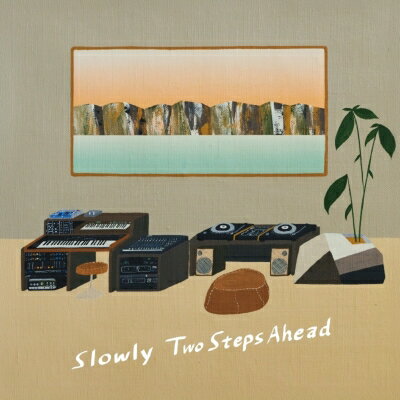 Slowly Ds / Two Steps Ahead アナログレコード