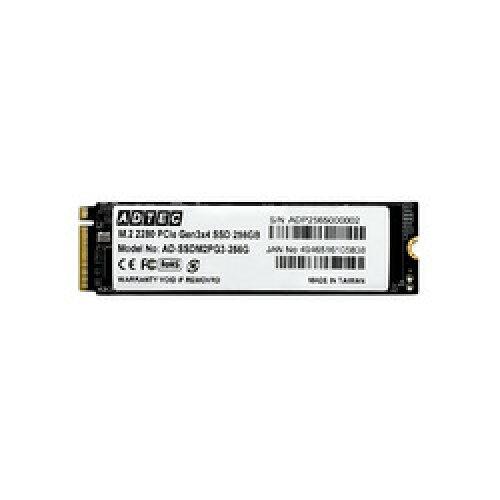 ADTEC SSD AD-SSDM2PG3-256G