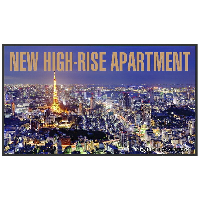 SHARP 液晶ディスプレイ PN-P556