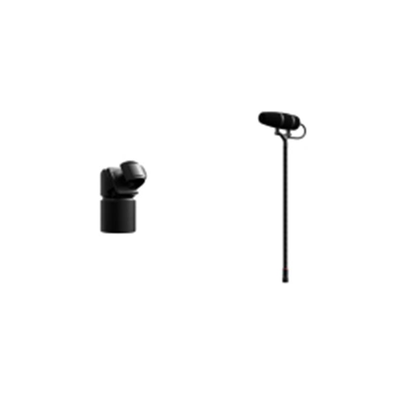 4099-DP-1-101-MS マイクスタンドマウントセット ディーピーエー 4099 CORE+ コンデンサーマイク 超単一指向 スーパーカーディオイド MicroLock マイクロロック 端子 高感度モデル DPA