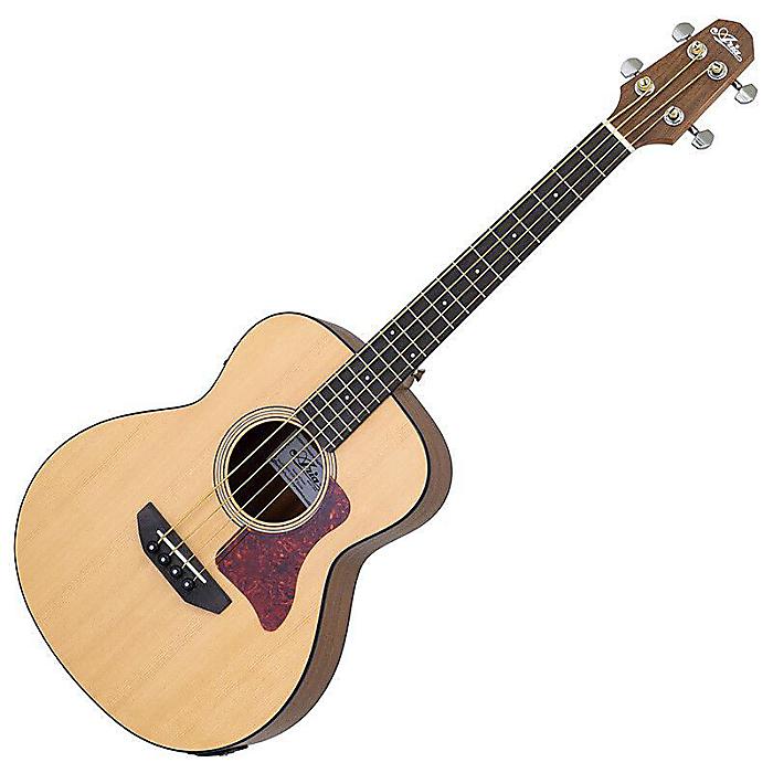 楽天市場】星野楽器 Ibanez エレアコベース AEGB24E-MHS | 価格比較
