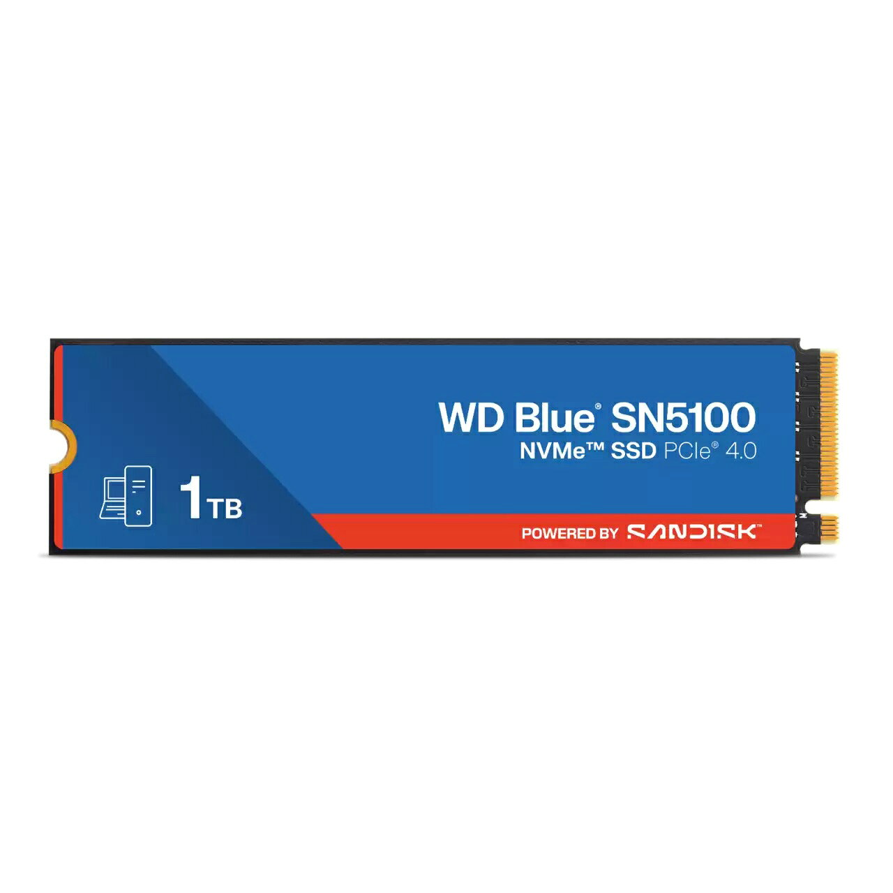 WD SSD WDS100T5B0E
