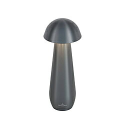 ビレロイアンドボッホ MODENA モデナ テーブルランプ Villeroy ＆ Boch ビレロイボッホ グラファイト 97296 LED