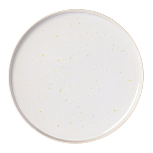 ビレロイ&ボッホ Villeroy&Boch プレート27cm 4516657220310