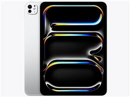 APPLE iPad Pro IPAD PRO 11 NA WI-FI+CELL 256G