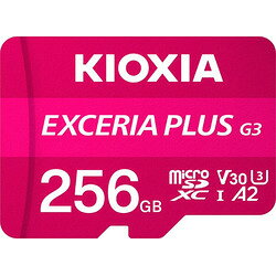キオクシア EXCERIA PLUS G3 256GB