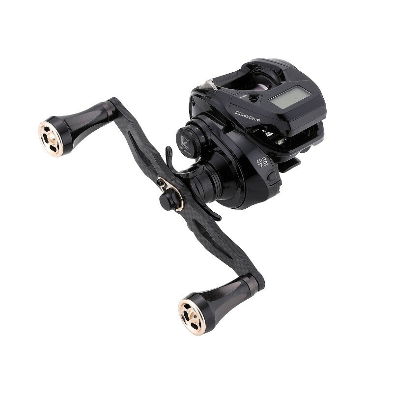 VILAYER DG NEXIS 100HG-DH/R