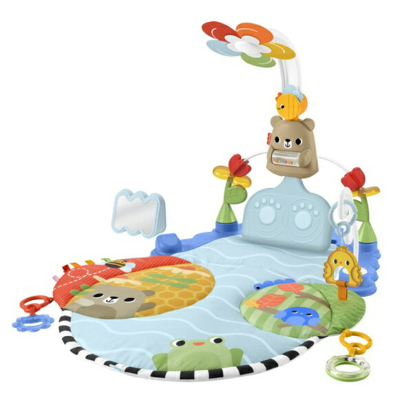 skip hop 3ステージ　アクティビティセンター 3ステージ アクティビティセンター(グレー): おもちゃ[DADWAY