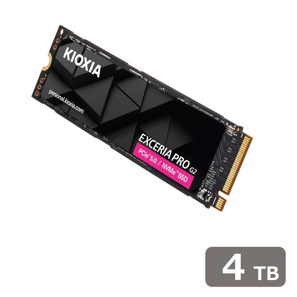 KIOXIA SSD SSD-CK4.0N5PRG2N
