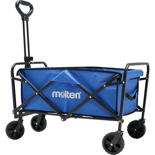楽天市場】コンポジット Radio Flyer ラジオフライヤー キャノピー付き