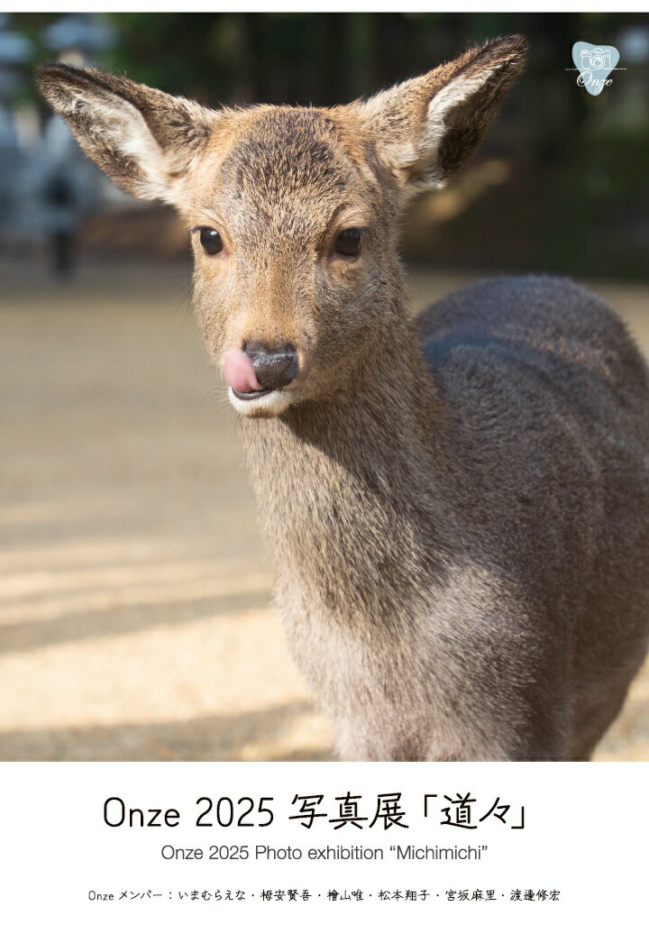 楽天市場】ワニマガジン社 滝島あずさ写真集 約束/ワニマガジン社/安保