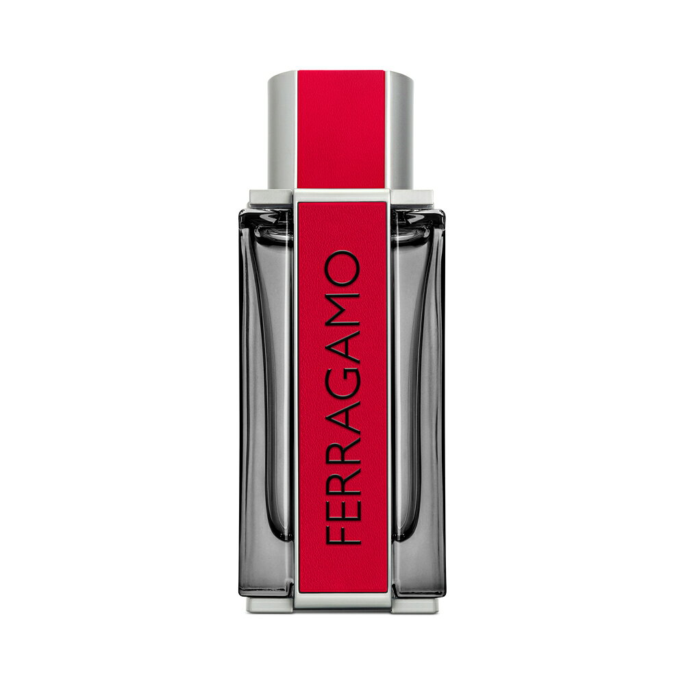 フェラガモ レッドレザー プールオム red leather pour homme alvatore