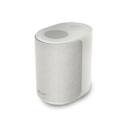 楽天市場】ボーズ(同) BOSE HOME SPEAKER 300 ラックスシルバー | 価格