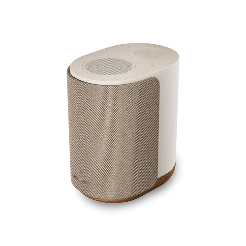 楽天市場】ボーズ(同) BOSE HOME SPEAKER 300 ラックスシルバー | 価格