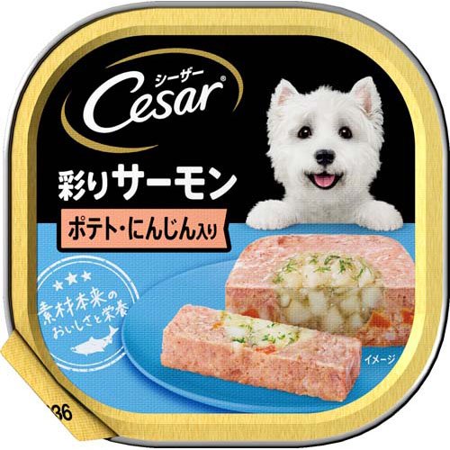 シーザー 成犬用 彩りサーモン ポテト・にんじん入り ドッグフード ウエット(100g)