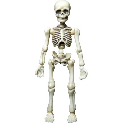 楽天市場】リーメント ポーズスケルトン 洋室セット(1コ入