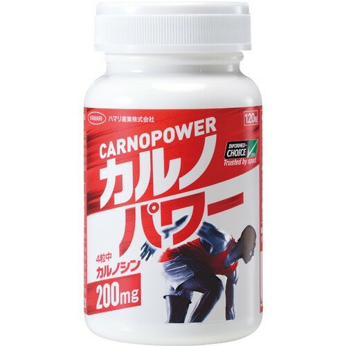 カルノパワー(120粒)