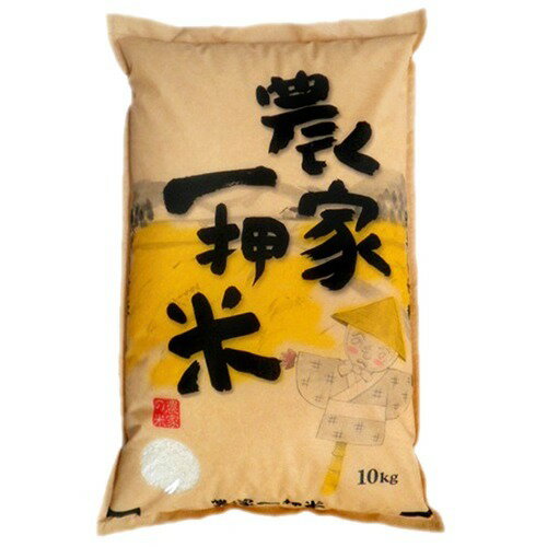 農家の米 10kg 米 令和7年 新潟県産 にじのきらめき 無洗米 10kg 5kg×2袋 新潟産 米10