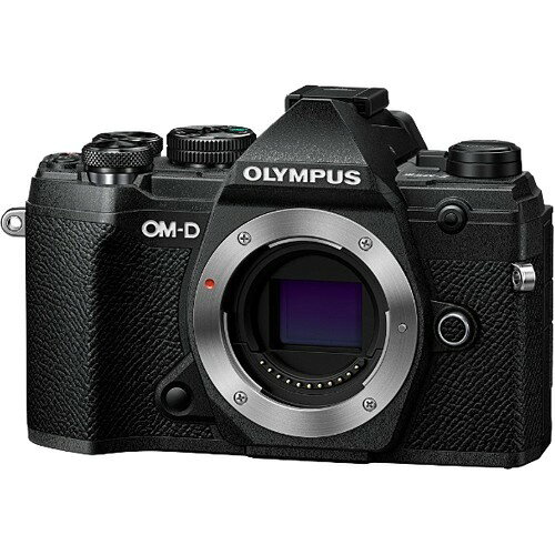 OM SYSTEM OM-D E-M5 Mark III