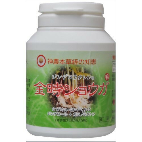 金時ショウガ粒(630粒)