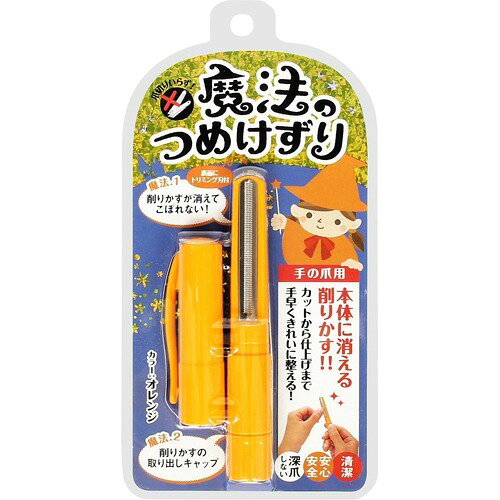 楽天市場】資生堂 SHISEIDO(資生堂) ネールファイルNA 501 | 価格比較