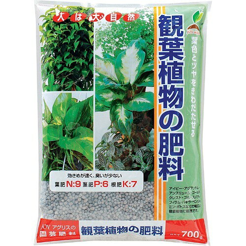 観葉植物　aとb 楽天市場】住友化学園芸 エードポトリン4号 観葉植物用 120g | 価格