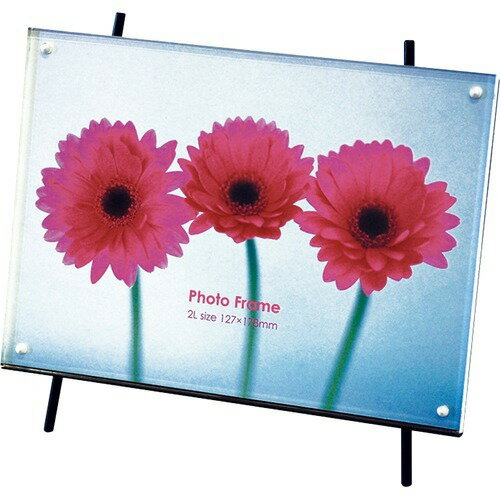 楽天市場】富士フイルム フジカラー アルミ額縁 A13 全紙(1コ入