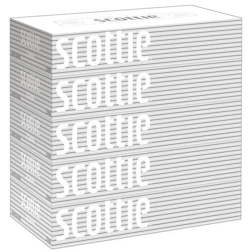 スコッティ ティッシュペーパー 200組5箱×12パック(60箱) | ティッシュ まとめ買い 箱ティッシュ 大容量 備蓄 ケース買い 業