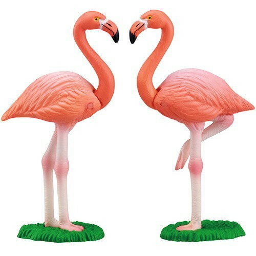 アニア AS-28 フラミンゴ(1セット)