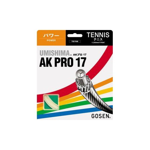 楽天市場】ゴーセン GOSEN ゴーセン エッグパワー17 TS101BK | 価格