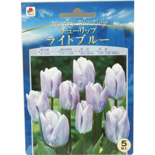 ちゅーりっぷきてぃ 楽天市場】タキイ種苗 チューリップ ライトブルー(5球入) | 価格比較