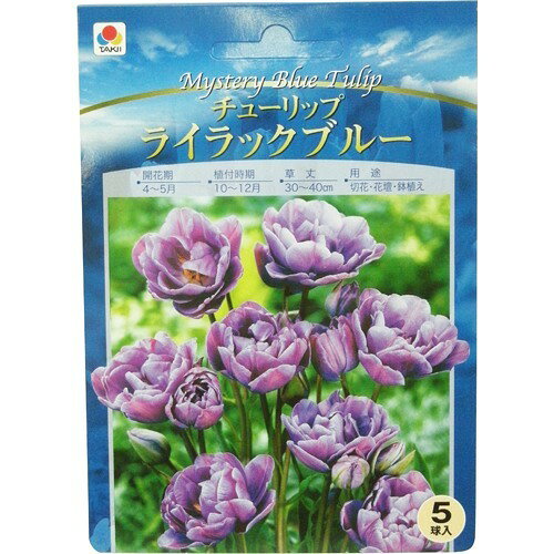 楽天市場】タキイ種苗 チューリップ ライトブルー(5球入) | 価格比較