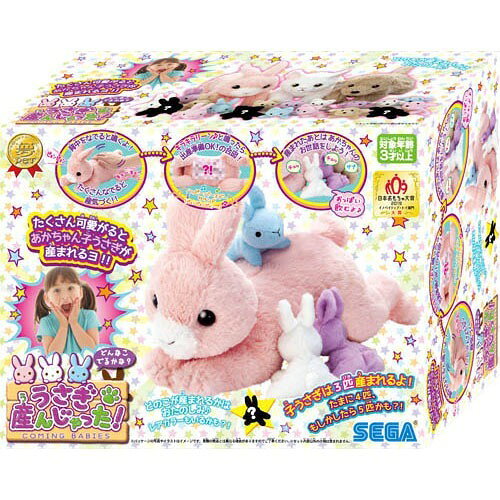 楽天市場】セガフェイブ 夢ペット 産んじゃったシリーズ ねこ産ん