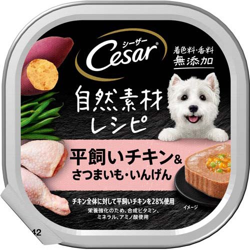 シーザー 自然素材 成犬用 チキン＆にんじん・いんげん 無添加 ドッグフード ウエット(85g)
