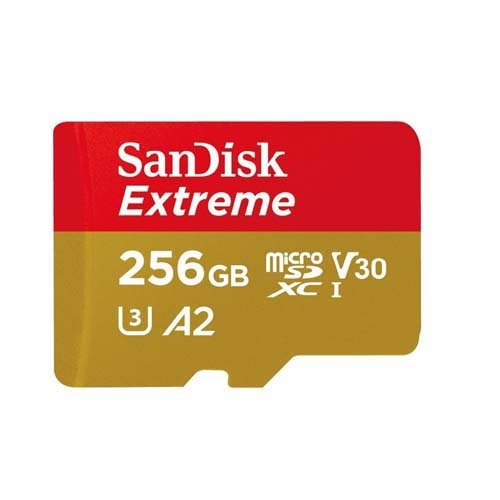 サンディスク エクストリーム 256GB