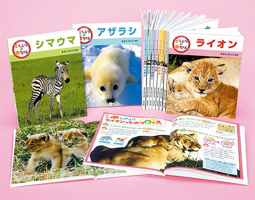 楽天市場】偕成社 教科書にのってるどうぶつの赤ちゃん（全6巻