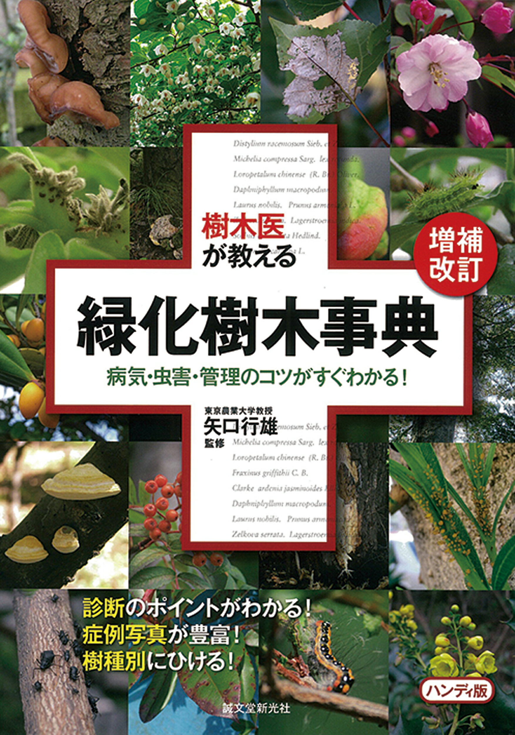 楽天市場】日本緑化センター 最新・樹木医の手引き 改訂4版/日本緑化