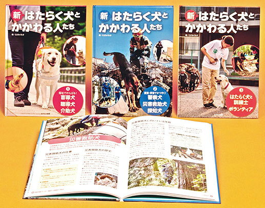 楽天市場】あかね書房 ゆうたくんちのいばりいぬ（全13巻セット