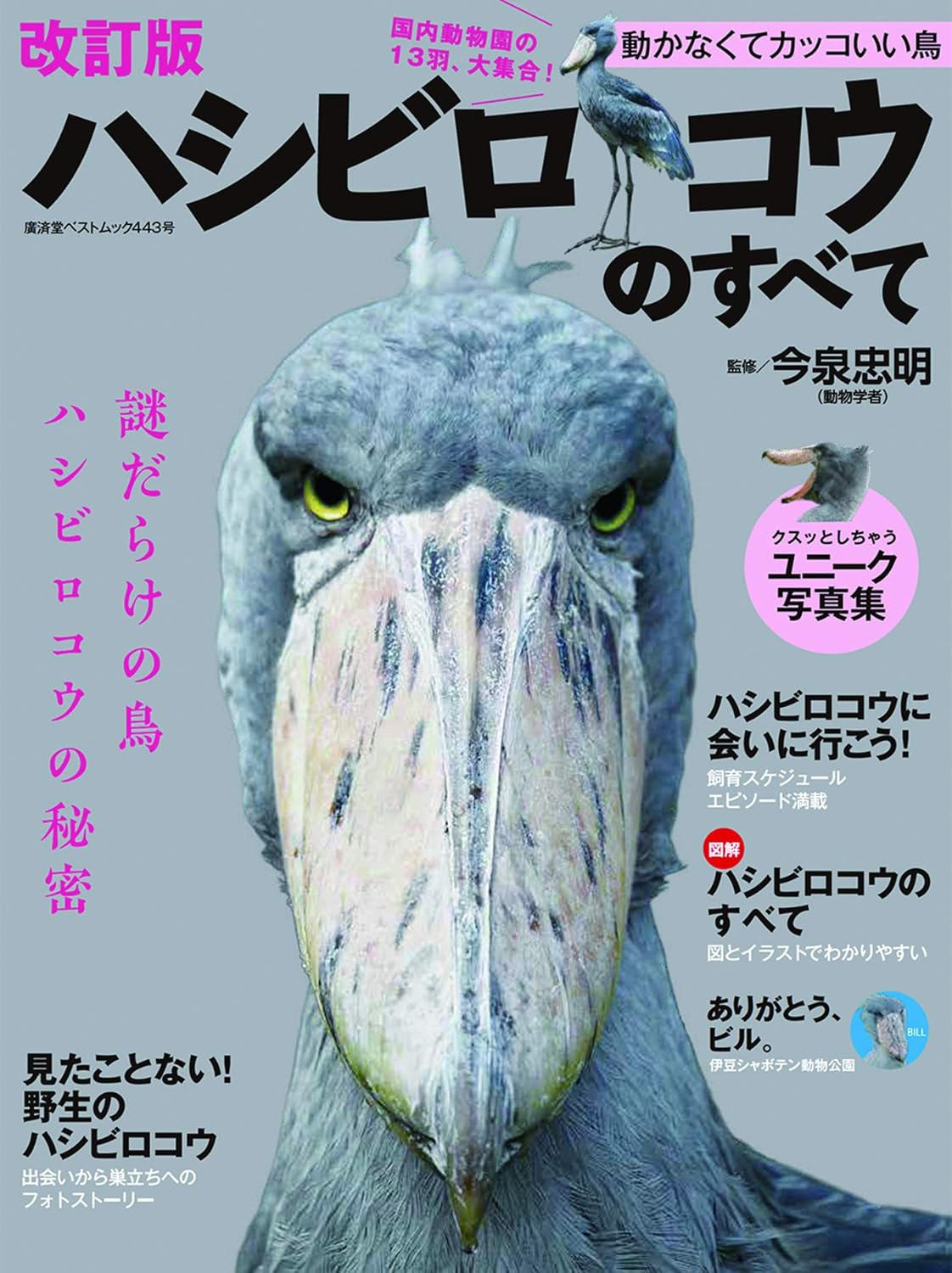 楽天市場】廣済堂出版 ハシビロコウのすべて 動かなくてカッコいい鳥
