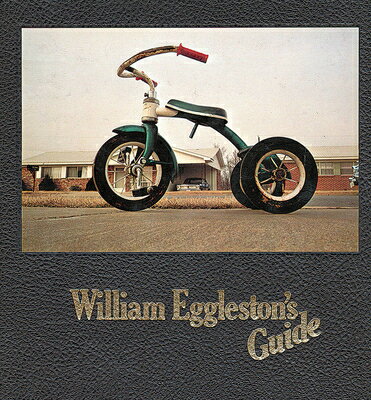 WILLIAM EGGLESTON'S GUIDE(H)/MUSEUM OF MODERN ART (UK)/JOHN SZARKOWSKI