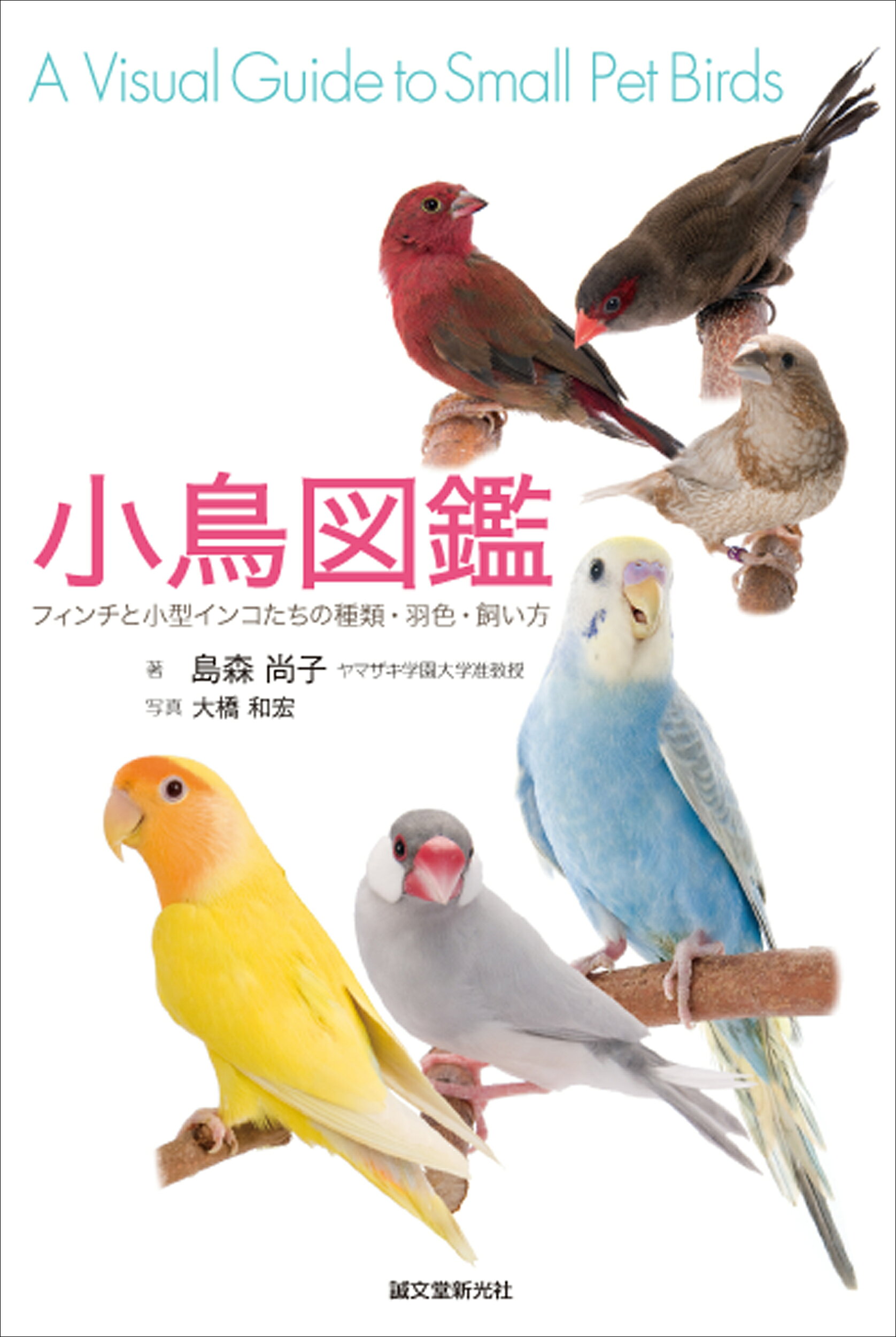 楽天市場】誠文堂新光社 小鳥図鑑 フィンチと小型インコたちの種類・羽
