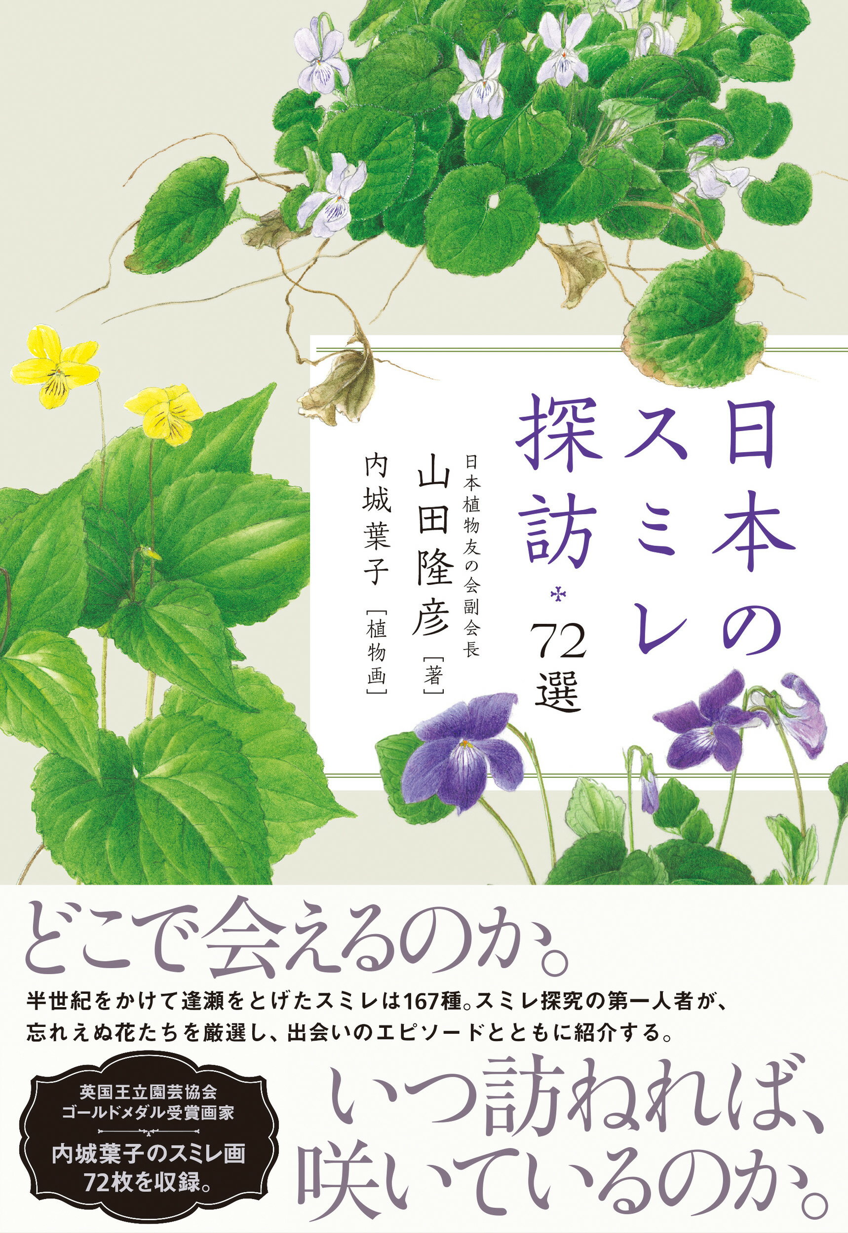 日本のスミレ   増補改訂/山と渓谷社/いがりまさし（単行本） 中古】 日本のスミレ 増補改訂/山と渓谷社/いがりまさしの通販