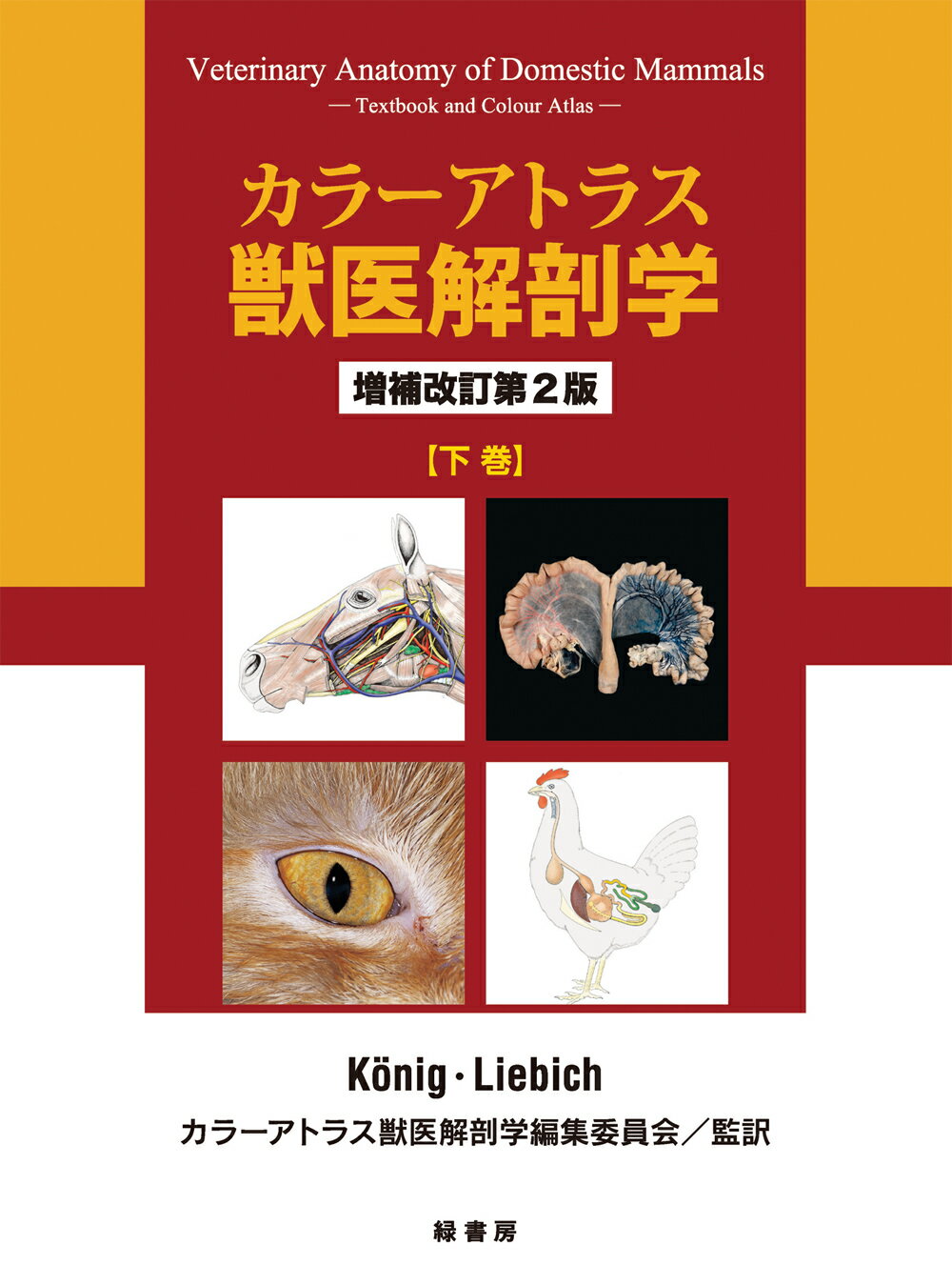 【獣医】【限定出品】犬と猫の軟部外科 基礎知識とおさえておきたい手術法 犬と猫の軟部外科: 基礎知識とおさえておきたい手術法 | 岡野