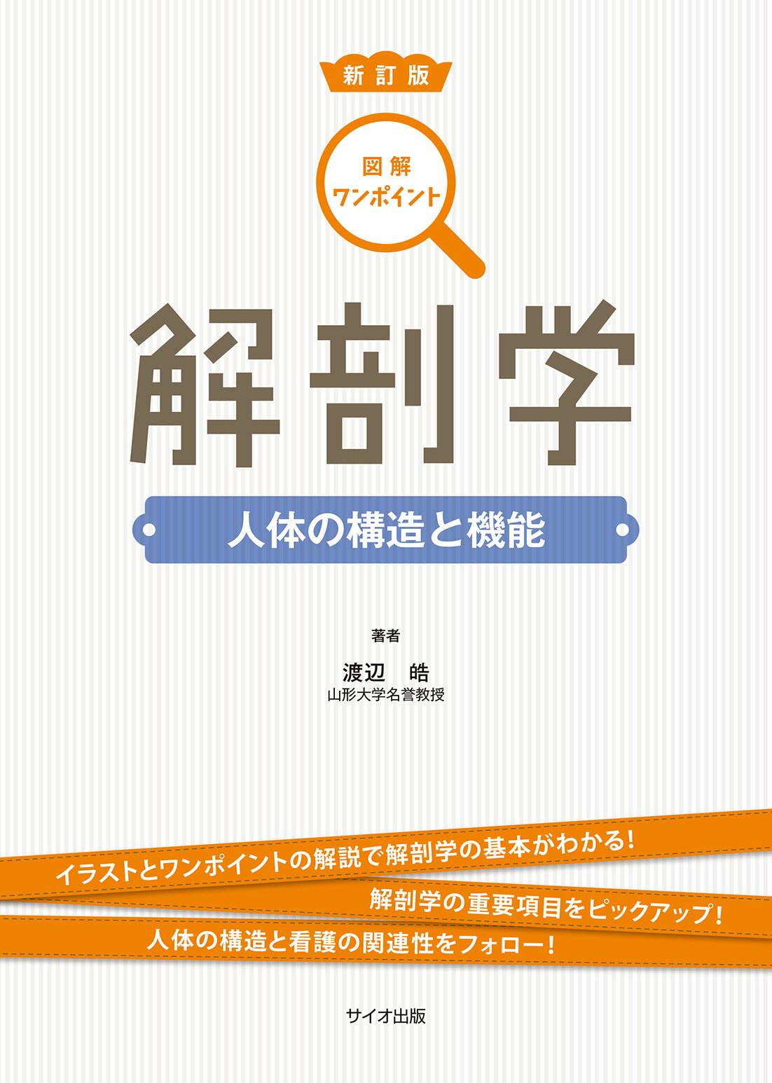 楽天市場】南江堂 人体解剖学 改訂第42版/南江堂/藤田恒太郎 | 価格