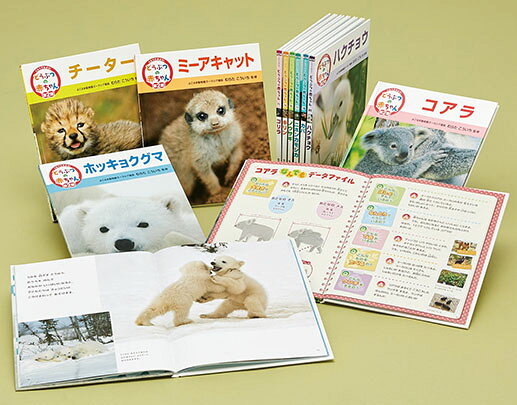 教科書にのってるどうぶつの赤ちゃん　全6巻セット 楽天市場】偕成社 教科書にのってるどうぶつの赤ちゃん（全6巻