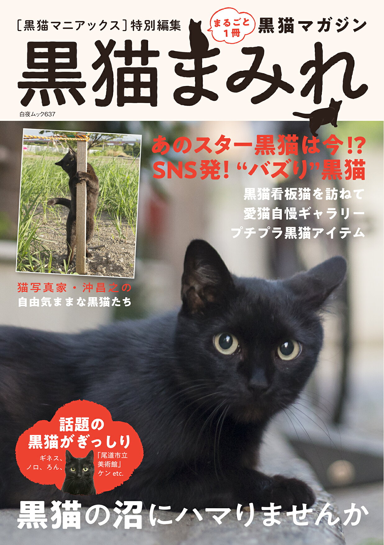 楽天市場】白夜書房 黒猫まみれ まるごと1冊黒猫マガジン/白夜書房/黒