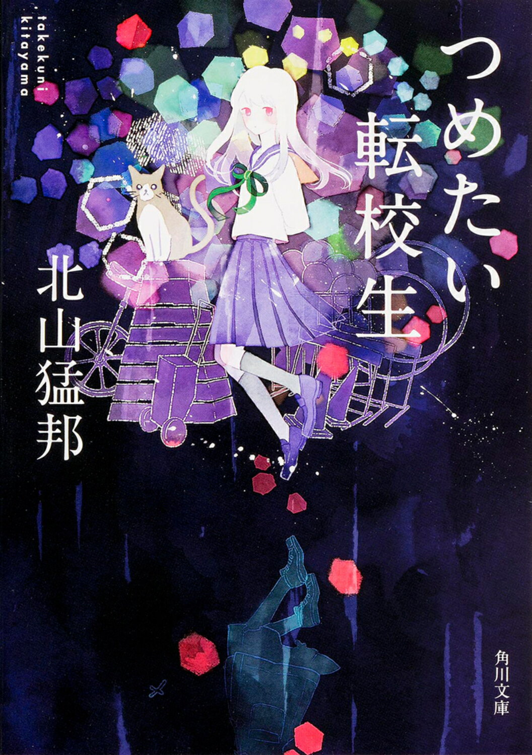 楽天市場】講談社 ダンガンロンパ霧切 1/星海社/北山猛邦 | 価格比較