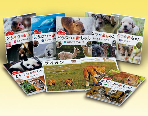 教科書にのってるどうぶつの赤ちゃん　全6巻セット 教科書にのってるどうぶつの赤ちゃん 全6巻セット 教科書にのっ