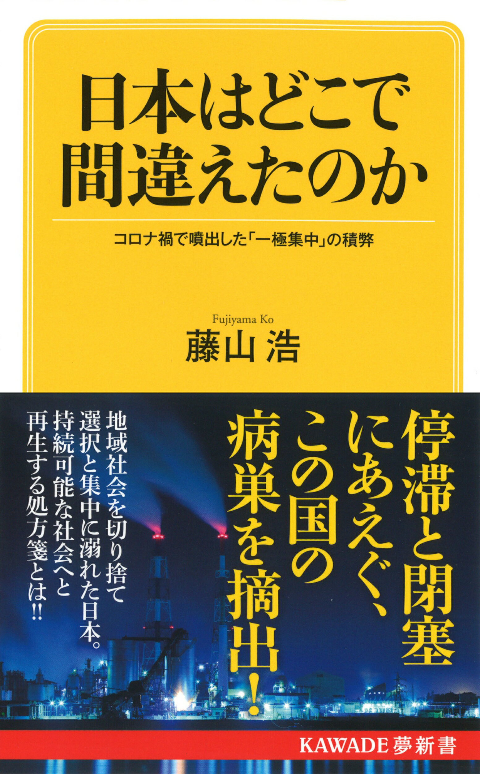 日本はどこで間違えたのか コロナ禍で噴出した「一極集中」の積弊/河出書房新社/藤山浩