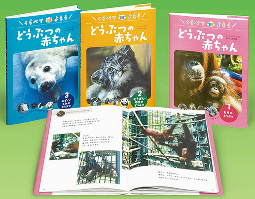 日本防災ずかん（全４巻セット） 堅牢製本図書/あかね書房/野上健治（大型本） 日本防災ずかん 全4巻｜HONLINE（ホンライン）
